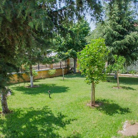 Апартаменти Paressa'S House Нікіті Екстер'єр фото
